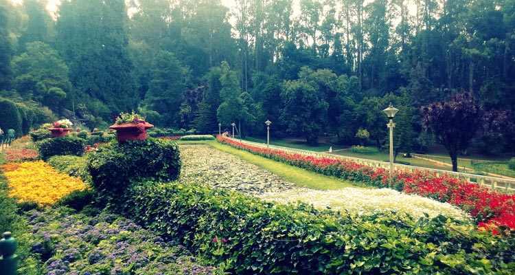 1 Day Ooty Town Tour Local Sightseeing Package with Botanical Gardens