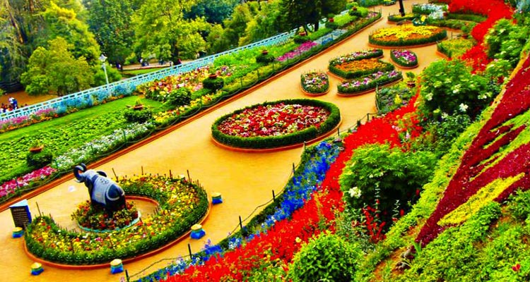 1 Day Ooty Town Tour Local Sightseeing Package with Rose Garden