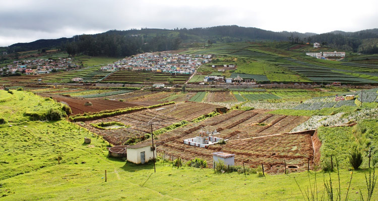 1 Day Ooty Avalanche Tour Local Sightseeing Package with Vegetable Land